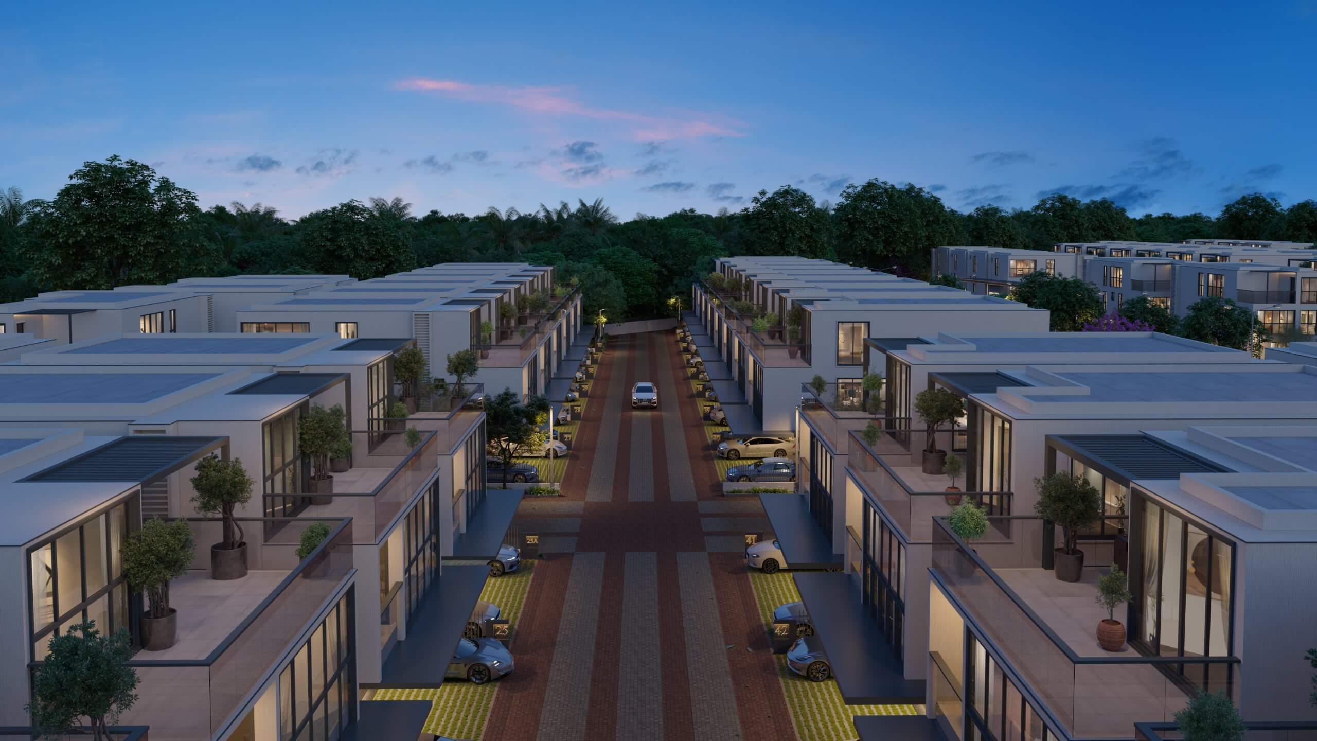 Developer render