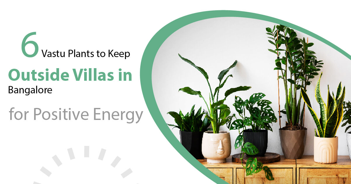 6 Vastu Plants to Keep Outside Villas in Bangalore for Positive Energy