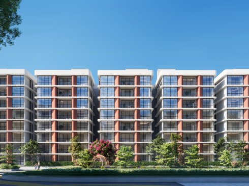 Developer render