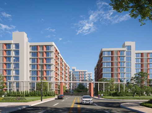 Developer render