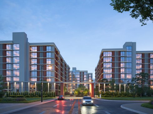 Developer render