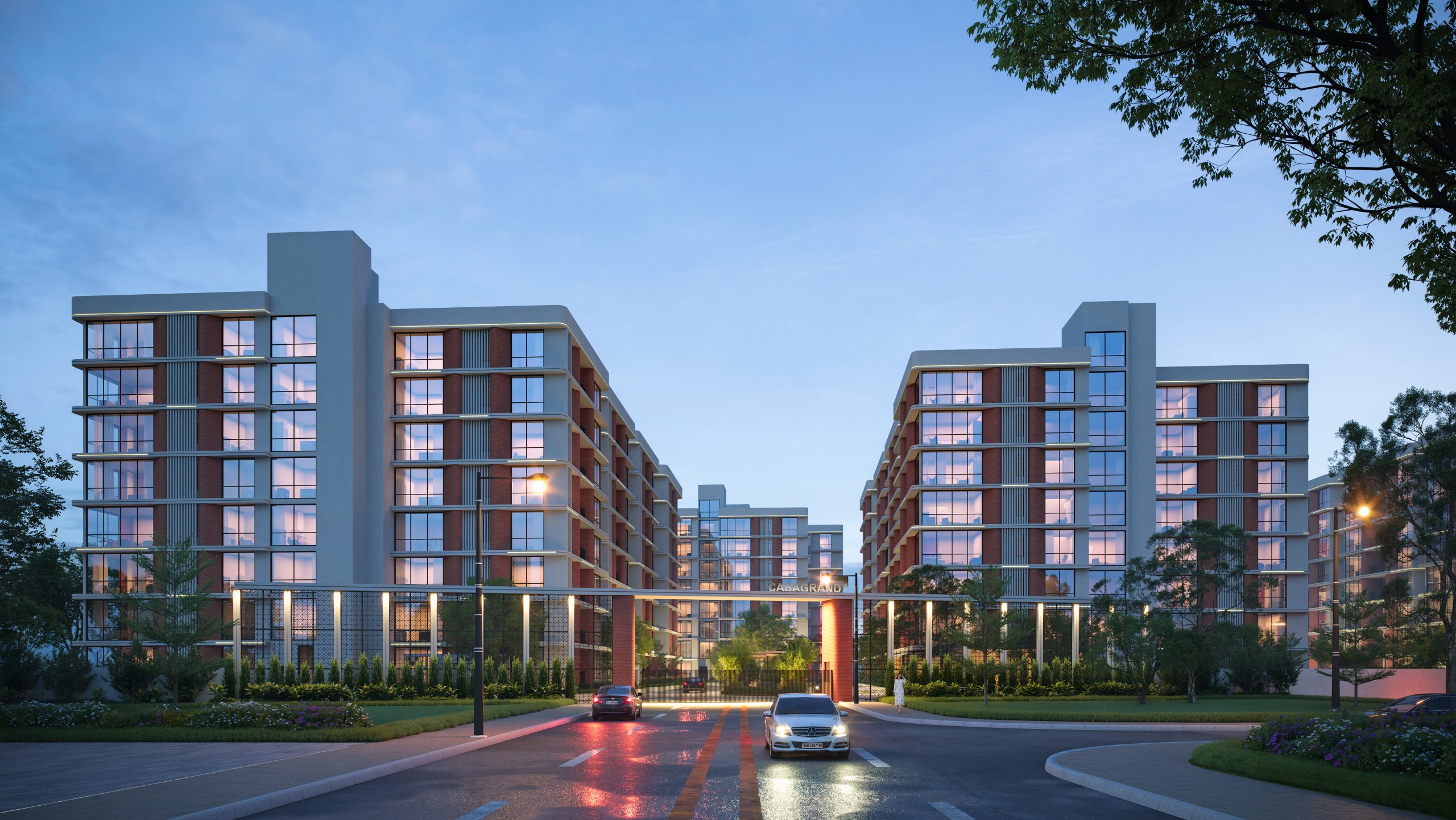 Developer render