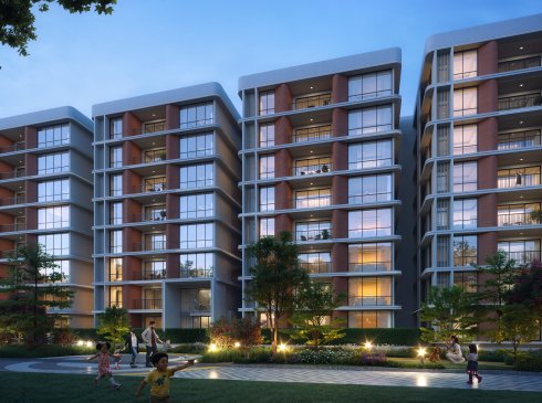 Developer render