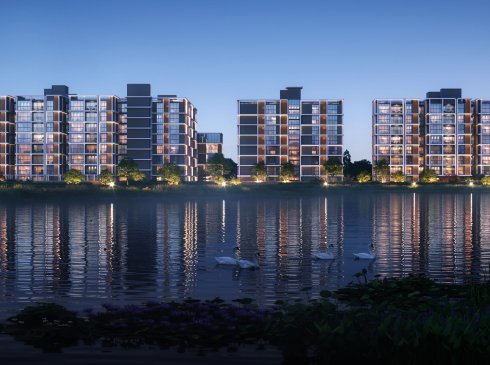 Developer render