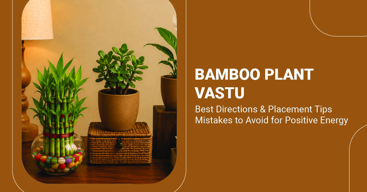 Bamboo Plant Vastu: Best Directions, Placement Tips, and Mistakes to Avoid